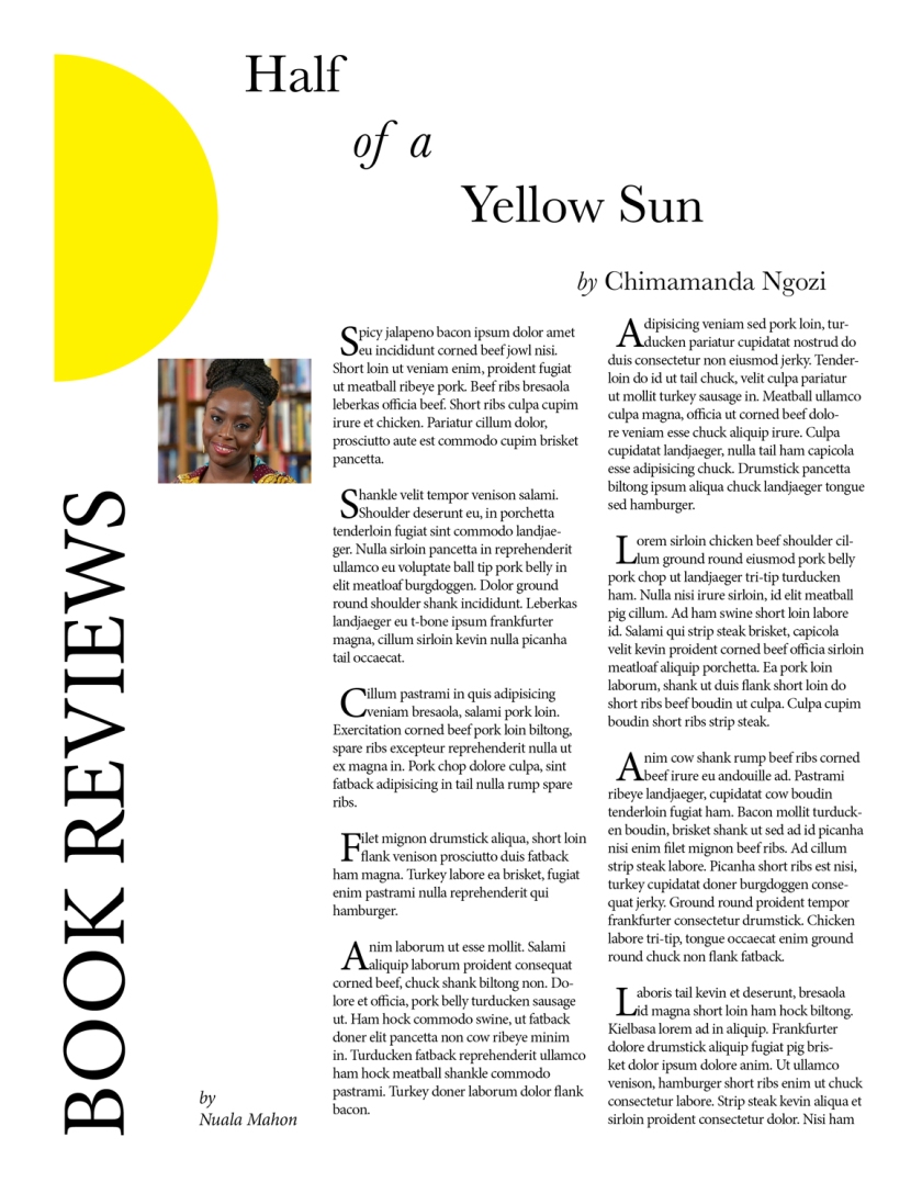 half-a-yellow-sun-review_1